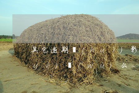 其它逾期會(huì)影響中信信用卡業(yè)務(wù)么-其它逾期會(huì)影響中信信用卡業(yè)務(wù)么嗎