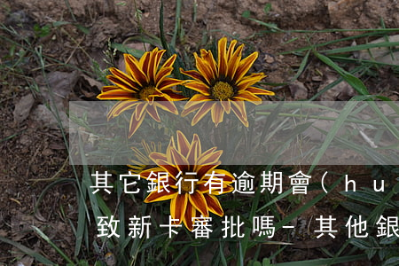 其它銀行有逾期會(huì)導(dǎo)致新卡審批嗎-其他銀行逾期會(huì)影響沒(méi)逾期的信用卡么