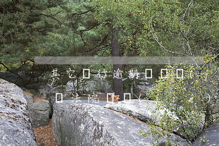 其它銀行逾期會凍結(jié)她行信用卡嗎 法院凍結(jié)銀行卡導(dǎo)致信用卡逾期怎么辦