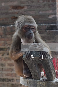 其禮律師事務所(其禮律師事務所 唐超塵)