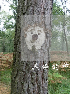 具体的诉讼流程怎么做呢(诉讼程序的流程)