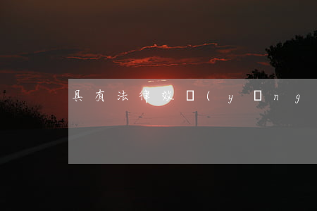 具有法律效應(yīng)的借條格式