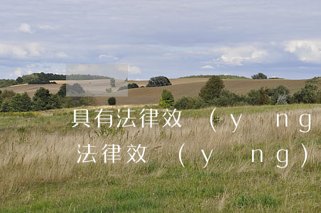 具有法律效應(yīng)的借條格式(具有法律效應(yīng)的借條格式范本)