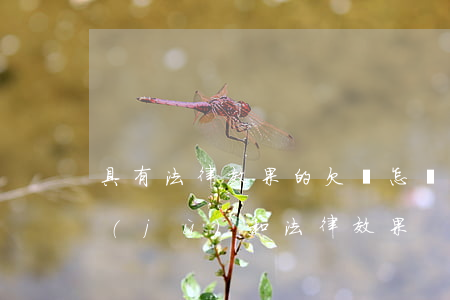 具有法律效果的欠條怎樣寫(欠條的法律依據(jù)和法律效果)