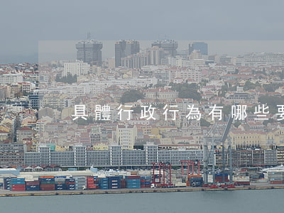 具體行政行為有哪些要素