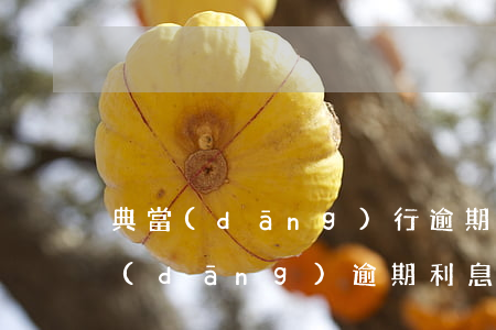 典當(dāng)行逾期一天怎么辦-典當(dāng)逾期利息
