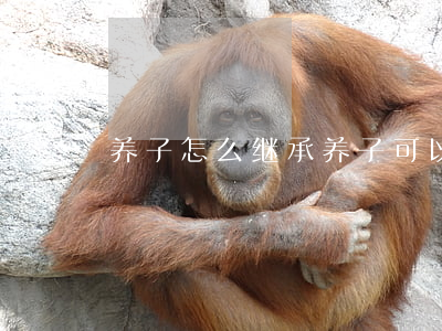 养子怎么继承(养子可以继承养父遗产吗)
