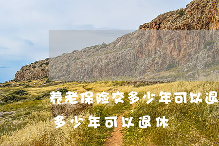 养老保险交多少年可以退休(男的养老保险交多少年可以退休)