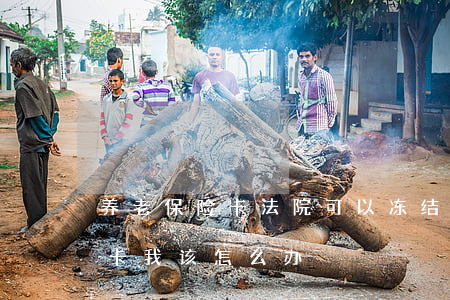 养老保险卡法院可以冻结吗(法院冻结养老金卡,我该怎么办?)