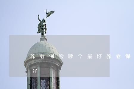 养老保险哪个最好(养老保险哪个保险公司最好)