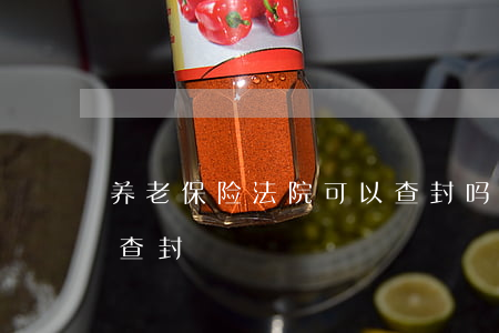 养老保险法院可以查封吗(什么保险法院不能查封)