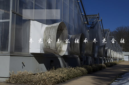 养老金怎么继承(养老金继承法)