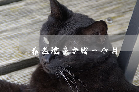 养老院多少钱一个月