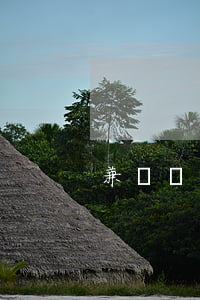 兼職員工工作合同