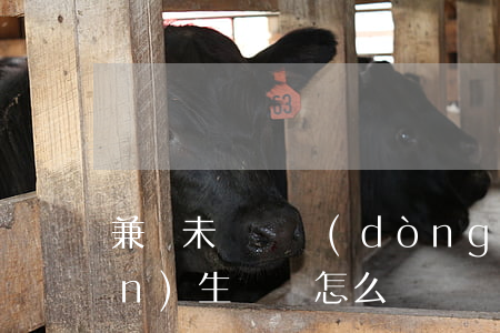兼職未簽勞動(dòng)合同產(chǎn)生糾紛怎么賠償