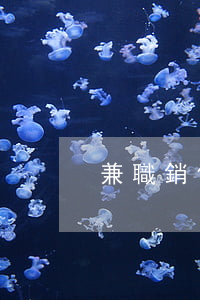 兼職銷售協(xié)議