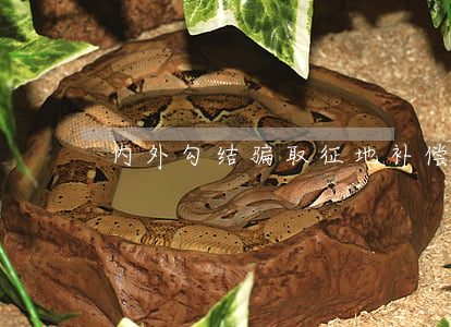内外勾结骗取征地补偿怎么办