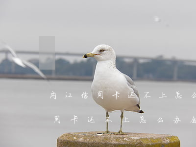 内江信用卡还不上怎么办会判刑吗-内江信用卡还不上怎么办会判刑吗知乎