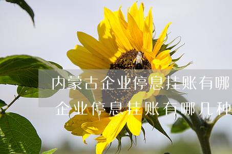 内蒙古企业停息挂账有哪几种方式-内蒙古企业停息挂账有哪几种方式呢