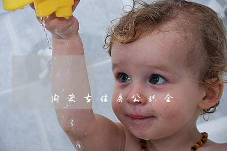 内蒙古住房公积金