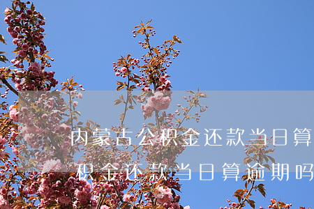 内蒙古公积金还款当日算逾期吗-内蒙古公积金还款当日算逾期吗怎么办