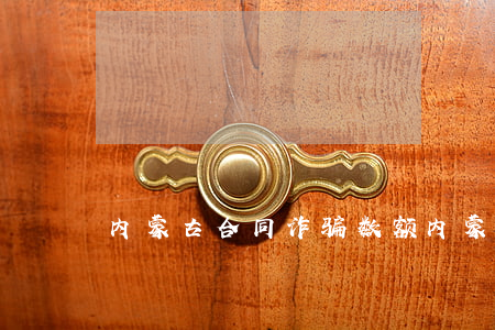 内蒙古合同诈骗数额(内蒙古诈骗案立案标准)