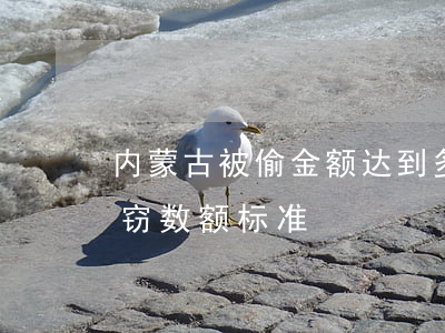 内蒙古被偷金额达到多少可以立案(内蒙古盗窃数额标准)