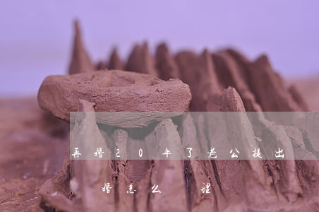 再婚20年了老公提出離婚怎么辦(二婚再次離婚怎么處理)