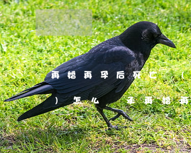 再婚再孕后死亡財(cái)產(chǎn)怎么繼承(再婚再孕后死亡財(cái)產(chǎn)怎么繼承)