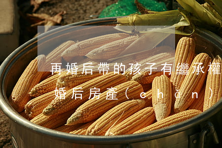 再婚后帶的孩子有繼承權(quán)嗎(再婚后房產(chǎn)之前的孩子可以繼承嗎)