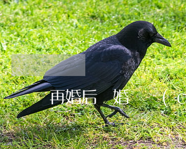 再婚后離婚財產(chǎn)如何分割