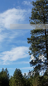 再婚夫妻一方死亡財(cái)產(chǎn)如何分配(再婚家庭如果一方去世,財(cái)產(chǎn)怎么分割)