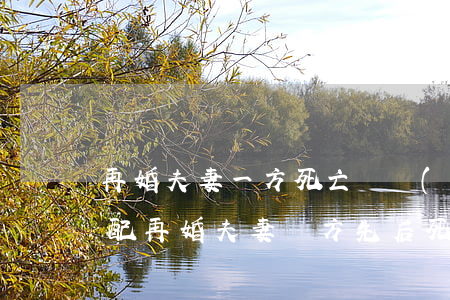 再婚夫妻一方死亡財產(chǎn)如何分配，再婚夫妻雙方先后死亡 遺產(chǎn)