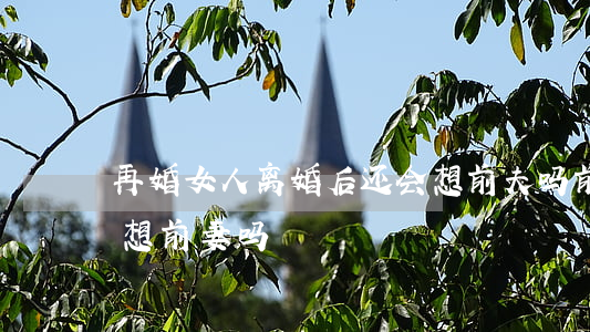 再婚女人离婚后还会想前夫吗(前夫再婚后会想前妻吗)