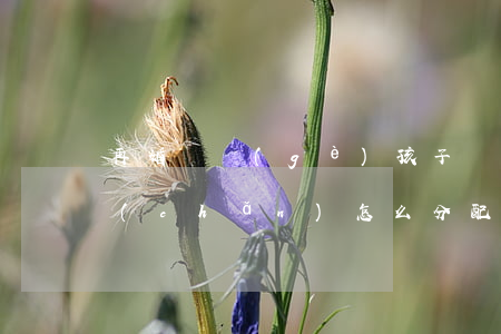 再婚帶個(gè)孩子離婚財(cái)產(chǎn)怎么分配(再婚夫妻離婚財(cái)產(chǎn)怎么分配和繼承)