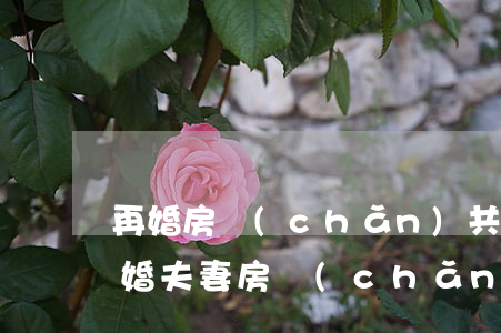 再婚房產(chǎn)共同名字怎么繼承(再婚夫妻房產(chǎn)繼承)