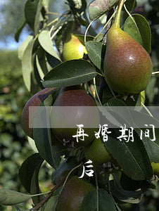再婚期间女方欠信用卡(女方婚前欠信用卡,婚后)