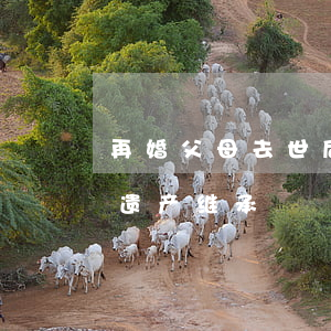 再婚父母去世后遗产怎么继承(母亲再婚后的遗产继承)