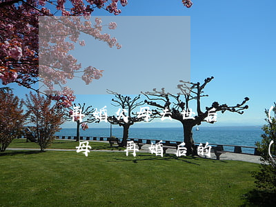 再婚父母去世后遺產(chǎn)怎么繼承(母親再婚后的遺產(chǎn)繼承)