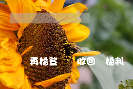 再婚登記會收回離婚判決書嗎