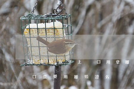 再婚給孩子上戶口用拿離婚證嗎(再婚后遷戶口還要用離婚證么)