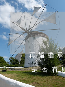 再婚繼承財產(chǎn)嗎(再婚家庭繼子是否有財產(chǎn)繼承)