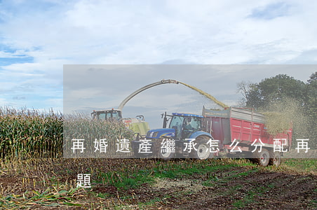 再婚遺產繼承怎么分配(再婚家庭遺產繼承問題)