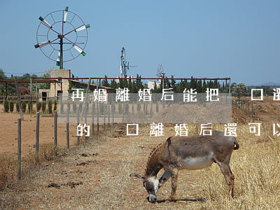 再婚離婚后能把戶口遷到娘家嗎(從娘家遷出的戶口離婚后還可以再遷回來嗎)