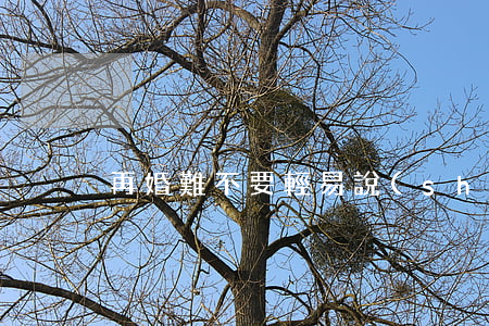 再婚難不要輕易說(shuō)離婚