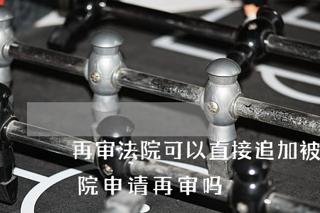 再审法院可以直接追加被告吗(可以向原审法院申请再审吗)