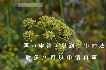 再审申请可以到二审的法院吗(二审判决生效后多久可以申请再审)
