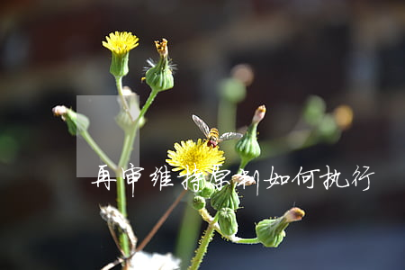 再审维持原判如何执行