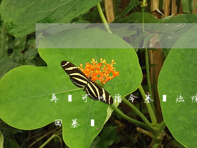 再審可以指令基層法院嗎(再審指令指定不能回基層)