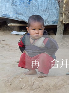 再審合并審理申請書范本